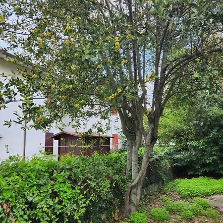 La Casa Di Manuela Vakantiehuis Lido Di Savio